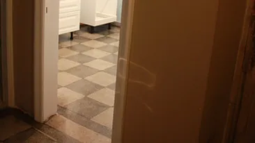 Renovarea bucatariei ii da batai de cap Danei Rogoz!  Actrita are nevoie de un sfat!