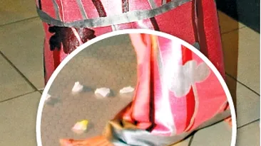 Moni nu vrea sa spuna ca are 41 la picior