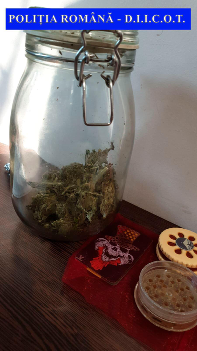 În urma perchezitiilor, polițiștii au ridicat 500 de grame de canabis, ustensile folosite la cultivare, cântare electronice, grindere pentru mărunțit canabisul, pastile ecstasy și ciuperci halucinogene