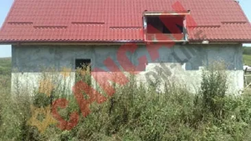 Ogica a ajuns la sapa de lemn