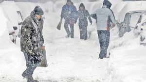 Ninsori, frig ploi si viscol in urmatoarele doua saptamani. Prognoza meteo pana pe 2 februarie!