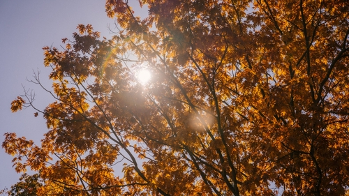 Vremea se răcește în întreaga țară! Prognoza meteo până la jumătatea lunii septembrie