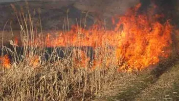 Incendiu de vegetatie in Masivul Bucegi, pe un teren care apartine Casei Regale