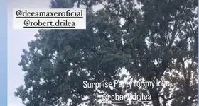 Galerie foto - poza 3