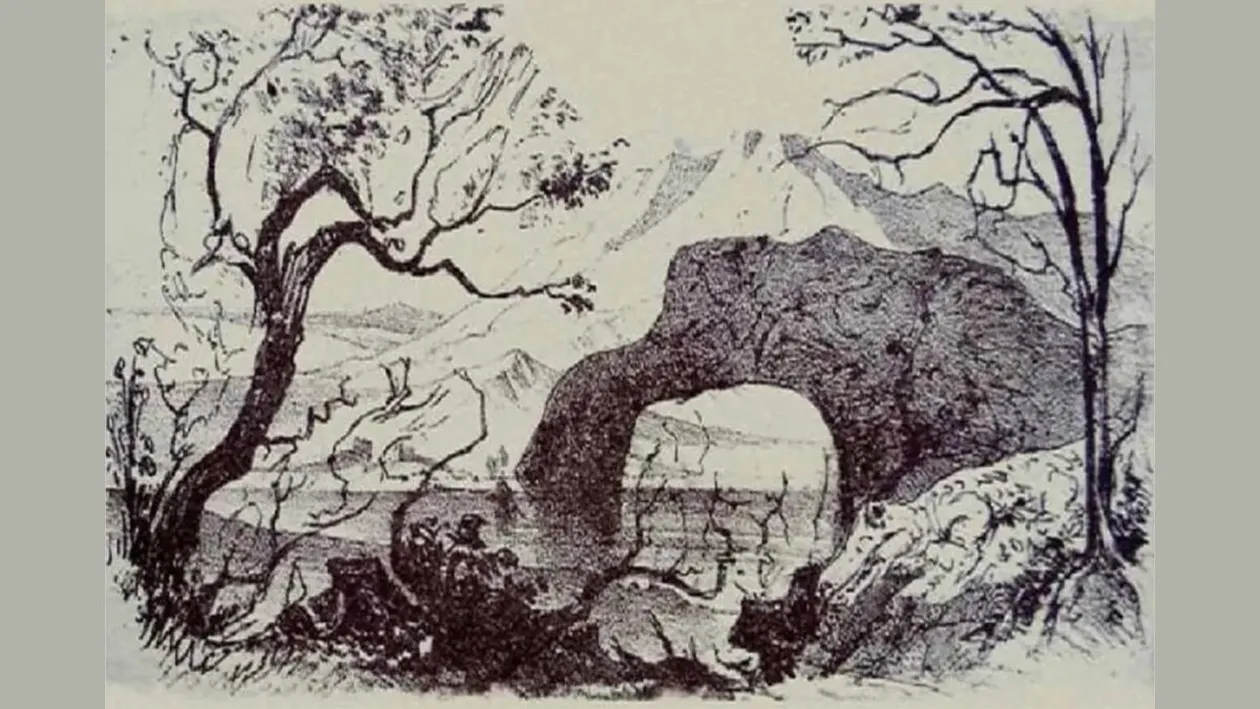 Iluzie optică virală | Câte animale se ascund, de fapt, în această fotografie? Doar un geniu le poate identifica pe toate