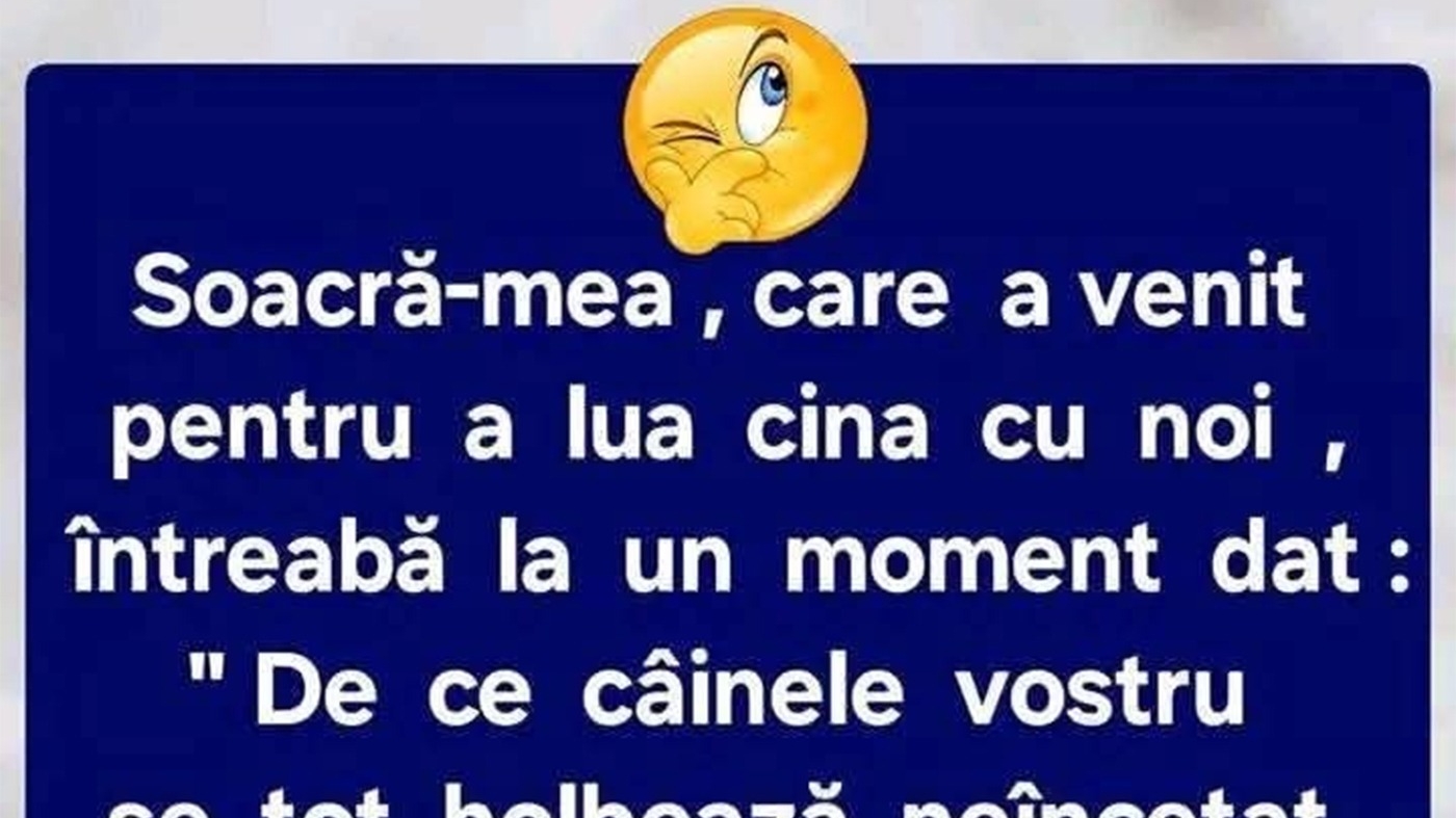 Bancul sfârșitului de săptămână | Soacra și câinele