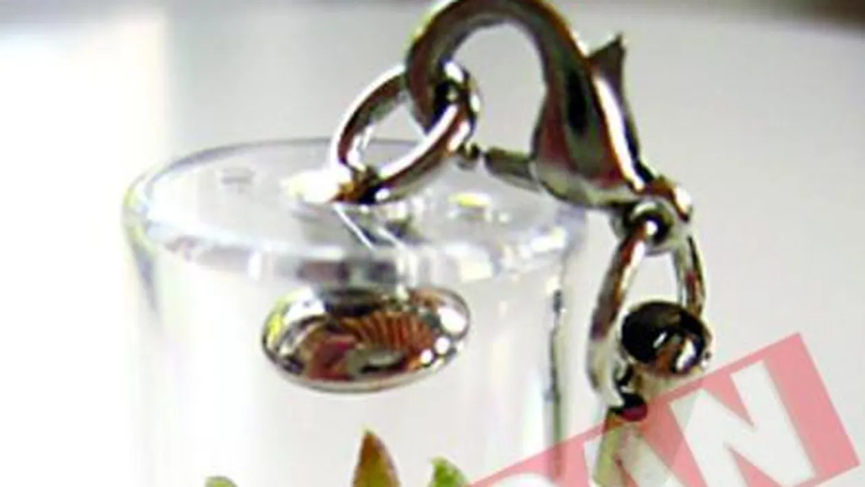 Plante de purtat la gat