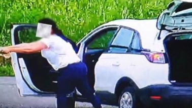 Ce a pățit femeia din Timiș care și-a aruncat pisica din mașină!