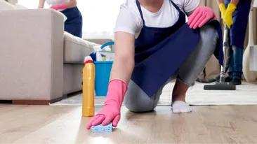 Ce a găsit o austriacă acasă, după ce angajase o româncă să îi facă curat în apartament. A crezut că nu vede bine