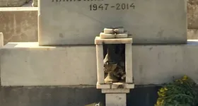 Galerie foto - poza 4