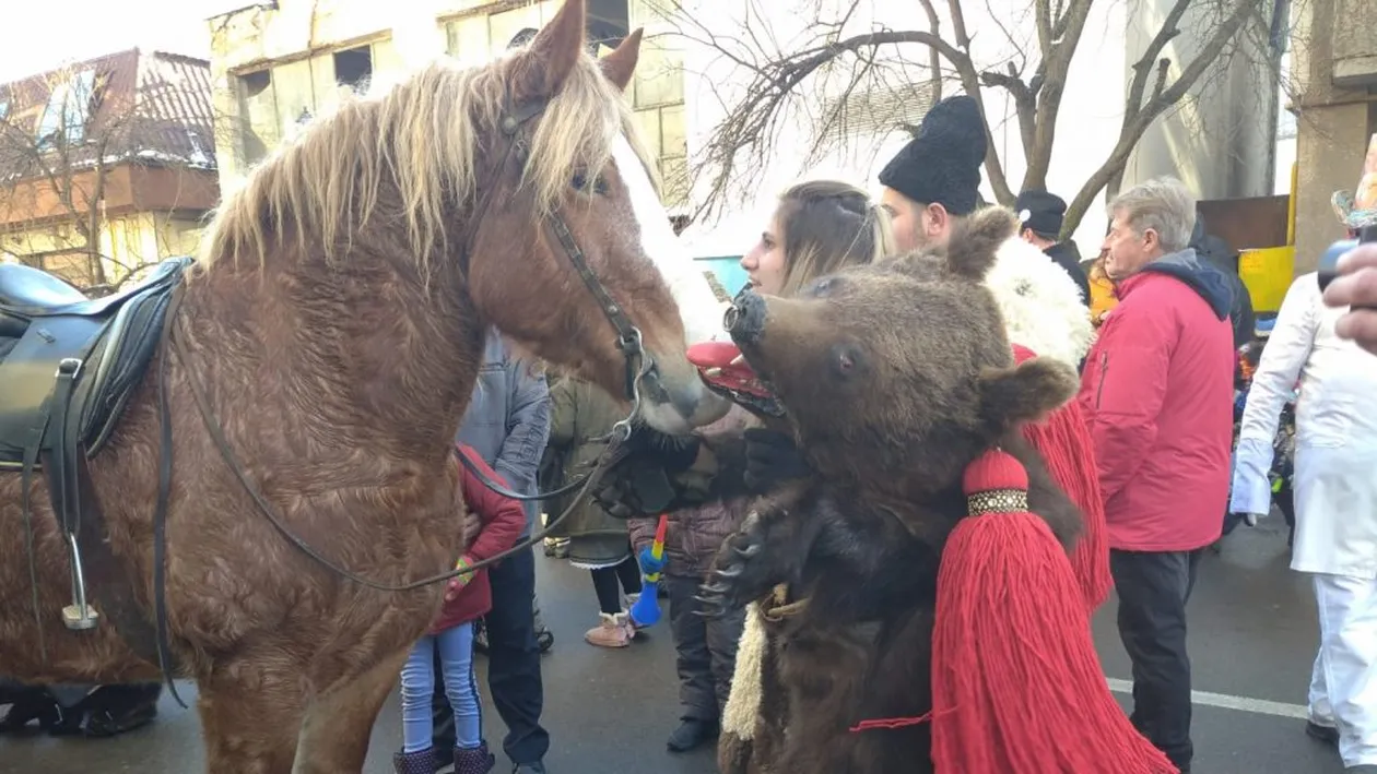 Ionuț Iftimoaie, în mijlocul ”urșilor” de la Comănești! GALERIE FOTO + VIDEO