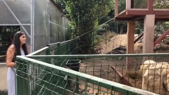 Horia Brenciu, scuipat în public! Copiii lui au fost martori la incident: “Mamă! Mamă!”