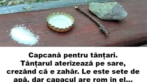 Bancul de weekend | Capcană pentru țânțari