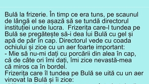 BANC | Bulă, directorul și frizerița
