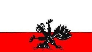 FOTO Tragedia aviatica de la Smolensk, parodiata de o publicatie olandeza