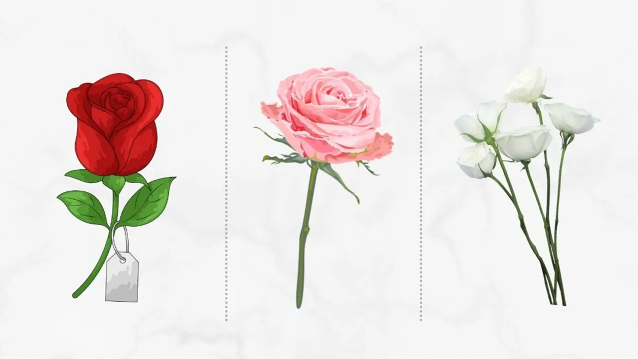 Test psihologic | Alege un trandafir! Răspunsul îți va spune cât de bine reziști la stres, de fapt
