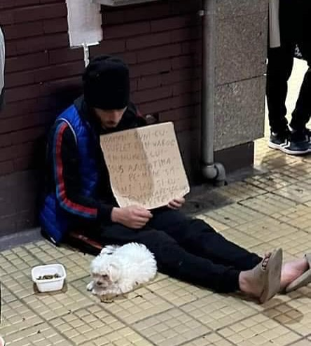 Cum sunt exploatați câinii în București tot mai des și Poliția Română nu face nimic: „Conform legii, el abuzează animale”