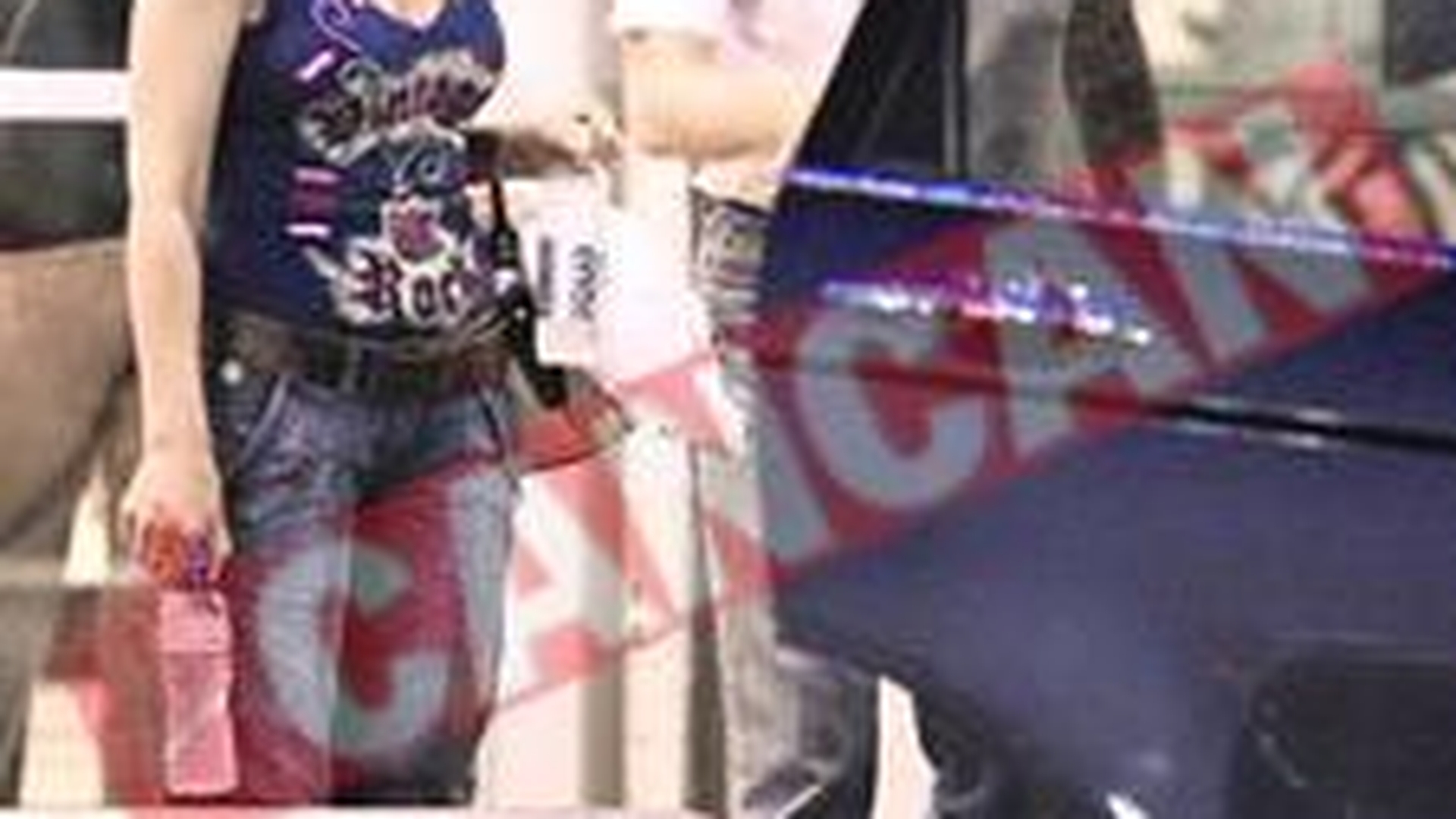 Petre Roman si Silvia Chifiriuc, tango pasional la Pro TV