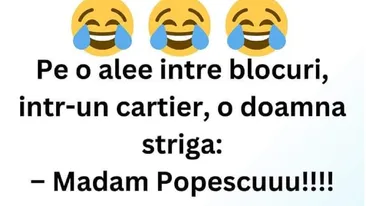BANC | Pe o alee între blocuri, o doamnă strigă: Madam Popescuuu