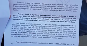 Galerie foto - poza 2