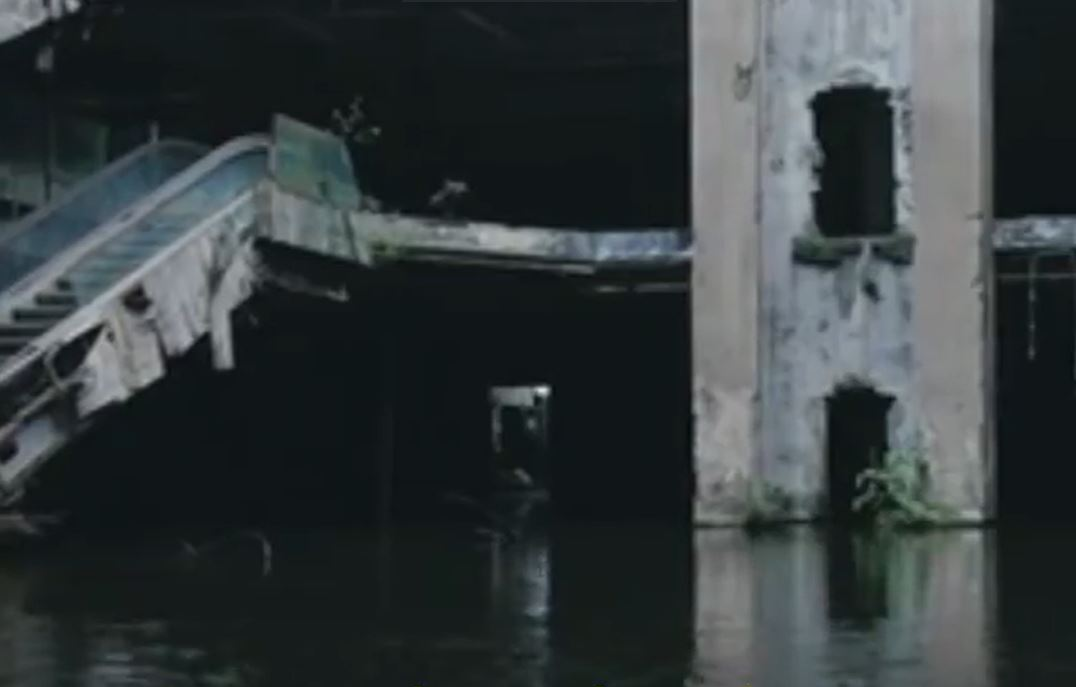 Cum ar arăta Terra dacă toți oamenii ar dispărea. Imagini virale în plină pandemie COVID-19