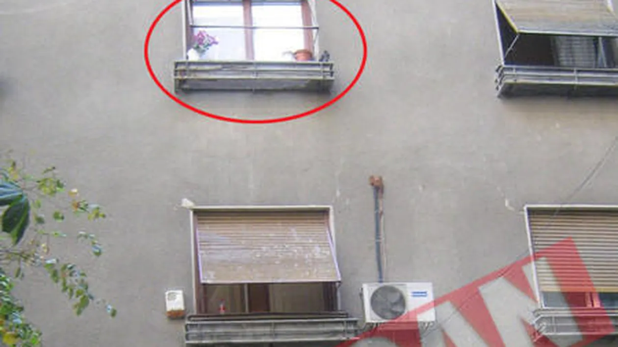 Sinucidere pe Calea Victoriei