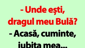BANC | "Unde ești, dragul meu Bulă?"