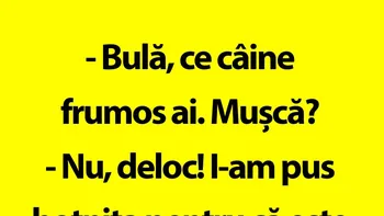 BANC | Câinele lui Bulă