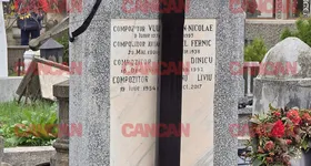 Galerie foto - poza 2