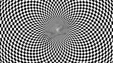 Testul IQ la care 99% se lasă bătuți | Ce animal se ascunde în această iluzie optică virală?