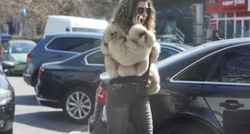 Galerie foto - poza 4