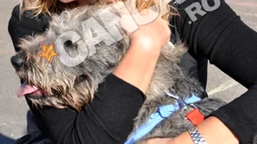 Ziua Portilor deschise la Dogtown, un adevarat succes