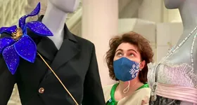 Galerie foto - poza 2