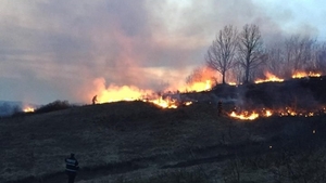 Restricții de circulație pe Valea Oltului, din cauza unui incendiu de vegetație