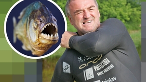 ”M-au mușcat peștii piranha de spate și...” Celebrul Martin Strel, deținătorul a cinci recorduri Guinness Book, a făcut dezvăluiri uluitoare pentru CANCAN.RO