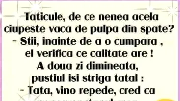 BANCUL ZILEI | De ce se ciupesc vacile de pulpa din spate?
