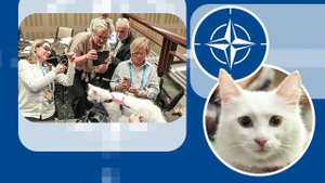 Pisicile Angora au cucerit summitul NATO. Lokum și puiul ei, Ak Kız, au devenit vedetele neașteptate ale reuniunii de la Ankar