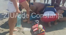 Galerie foto - poza 3