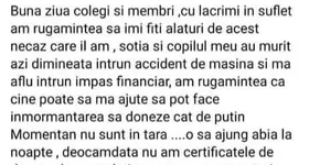 Galerie foto - poza 3