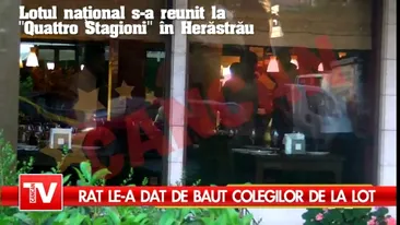 Rat le-a dat de baut colegilor de la lot