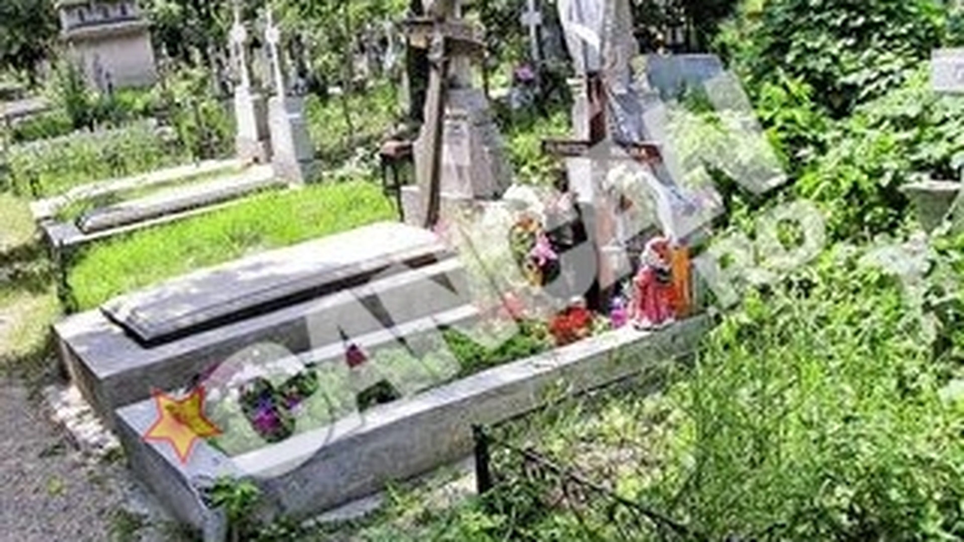 Chirias pakistanez in casa blestemata. Apartamentul Malinei Olinescu a fost inchiriat