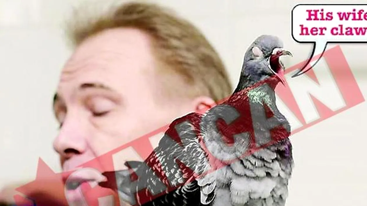 Porumbita amorezata de un britanic