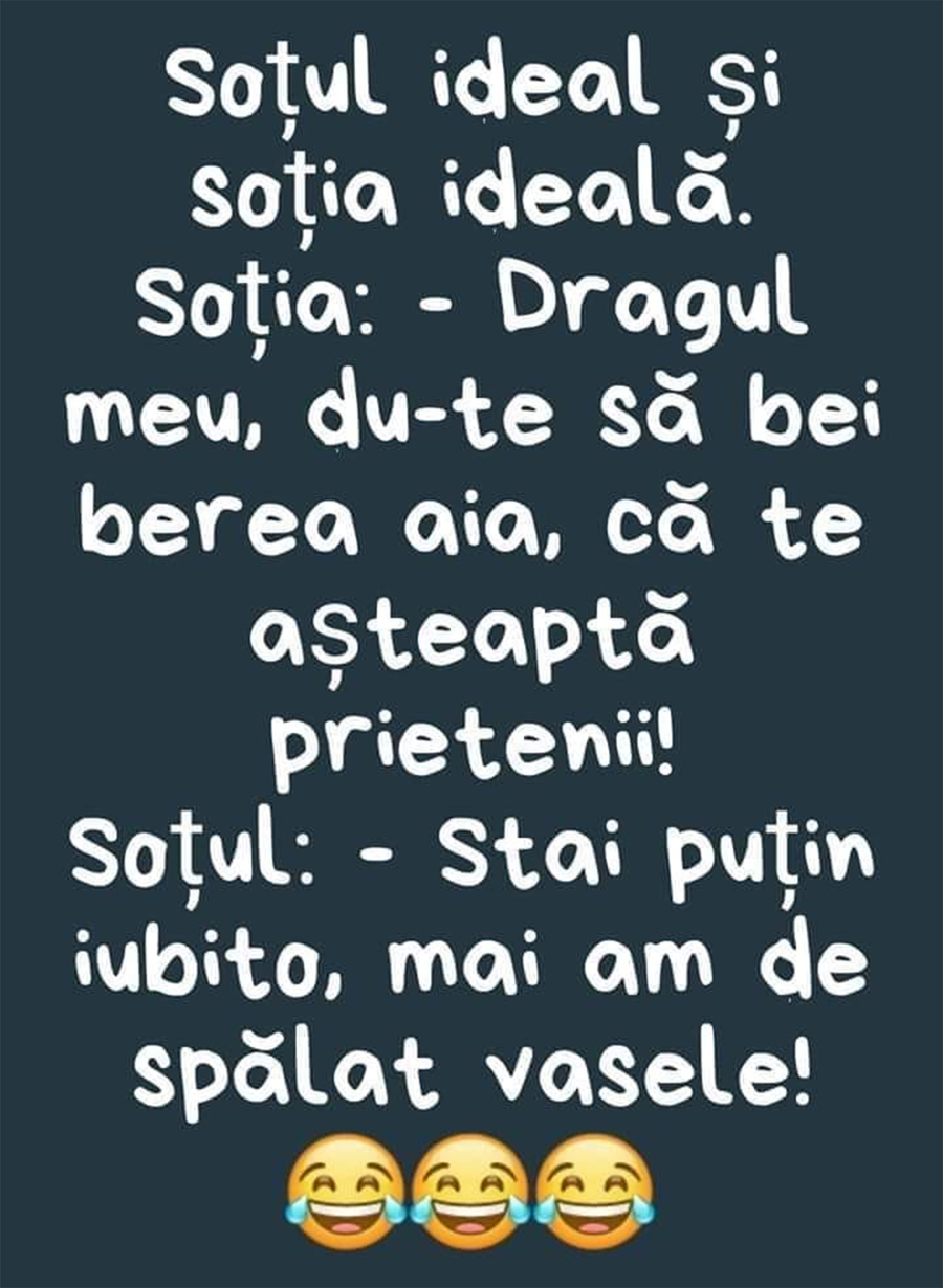 banc sotul ideal si sotia