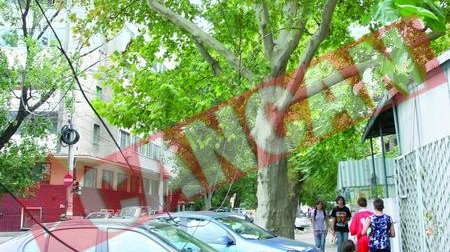 Bucurestiul se "impadureste" prin noi defrisari