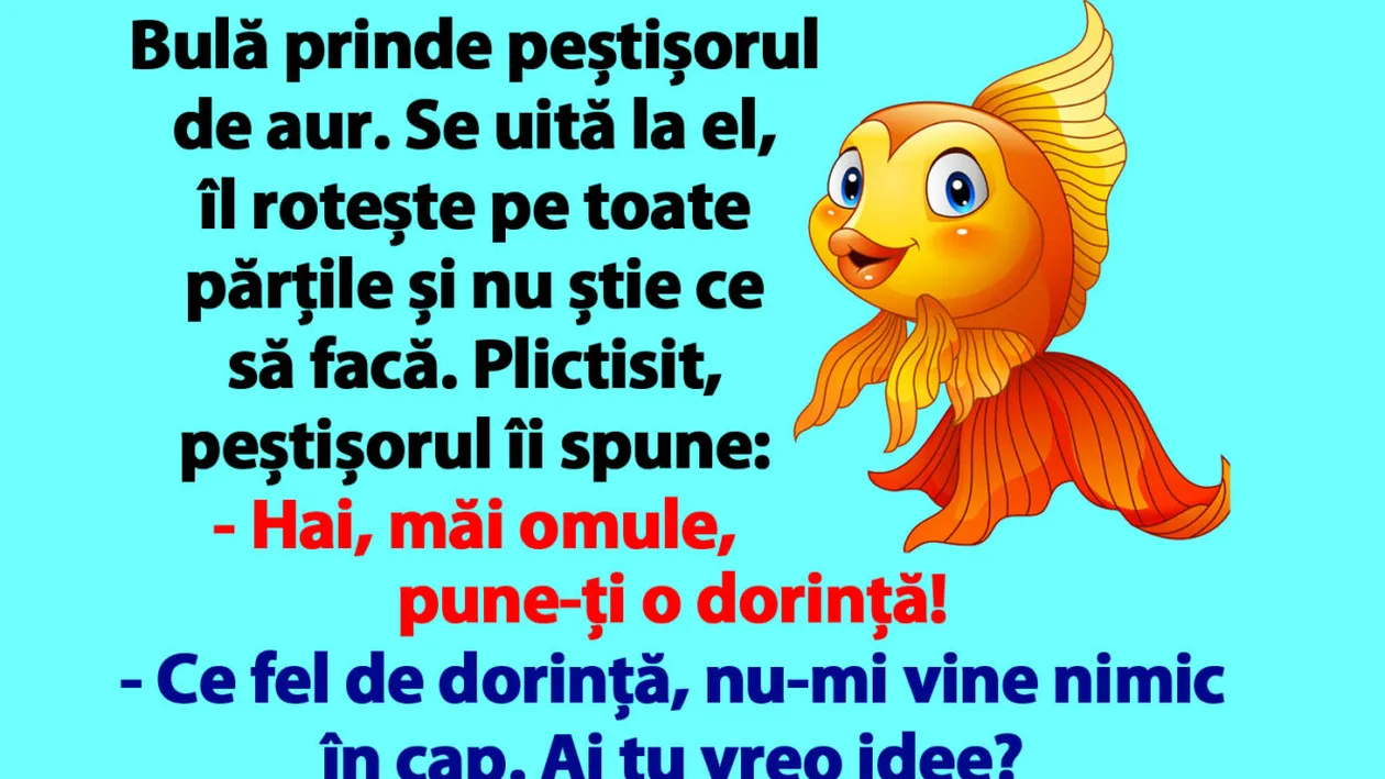 BANC | Bulă prinde peștișorul de aur: Hai, măi omule, pune-ți o dorință!