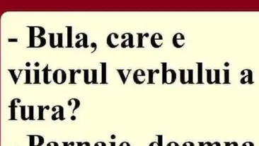 BANC | Bulă, care e viitorul verbului 'a fura'?