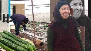 Ei sunt oltenii care vând (la propriu) castraveți grădinarului!