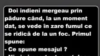 BANCUL ZILEI | Doi indieni mergeau prin pădure