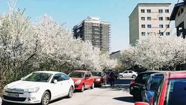 ANM, informații de ultimă oră! Vremea o ia razna în luna martie: ce temperaturi ne așteaptă primăvara aceasta