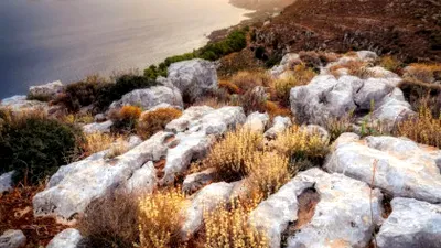 Ce a găsit o femeie care a călătorit pe o insulă cu un trecut sinistru, ștearsă de pe hărți și unde accesul este interzis